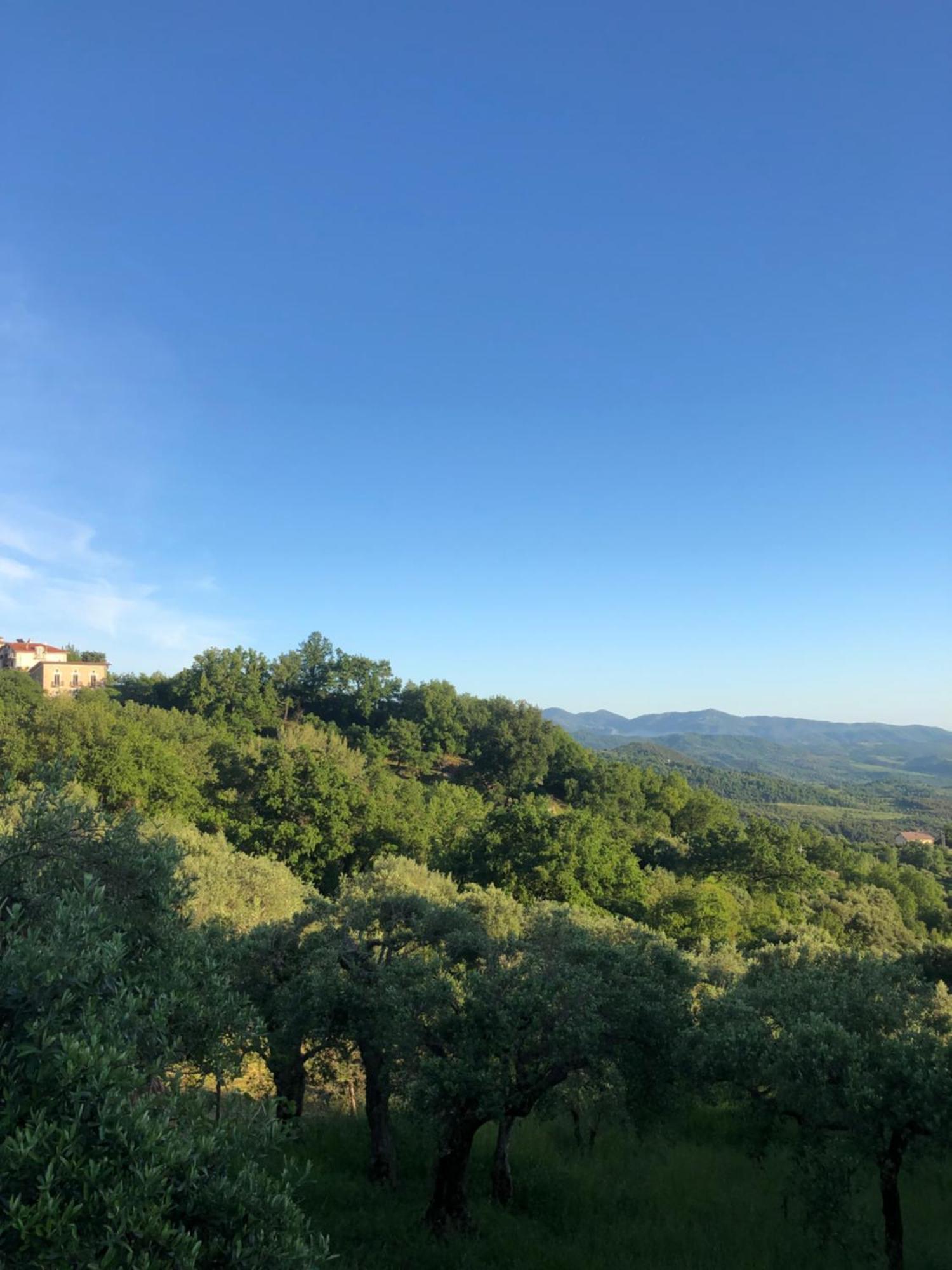 Bed and Breakfast La Casa Di Lidia Cardile Екстер'єр фото